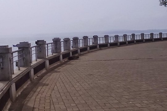 Tour image 8