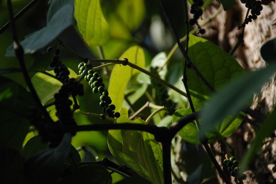 Tour image 10