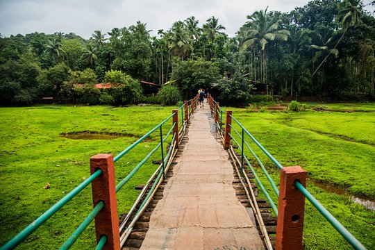 Tour image 9