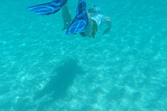 Tour image 4