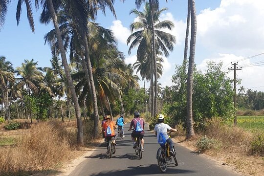 Tour image 5